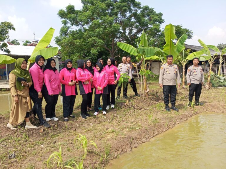 Sukses.!!! Polsek Tambelang Menggelar Launching Penguatan Program Pekarangan Pangan Lestari Terintergrasi dan Berkelanjutan