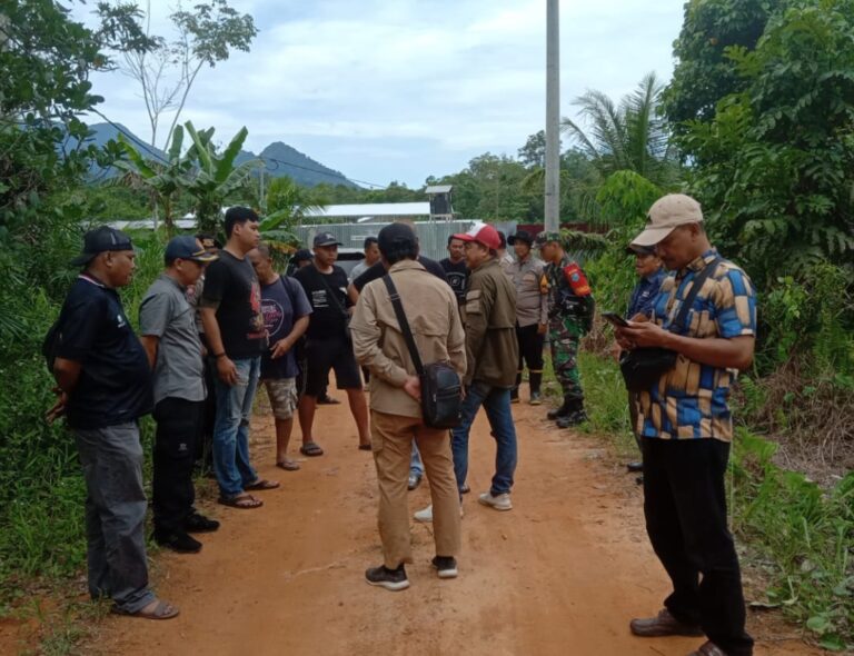 Sidak Peternakan Babi Terkait Dugaan Pencemaran Limbah di Kelurahan Pangmilang DPRD Kota Singkawng Turun Tanggan