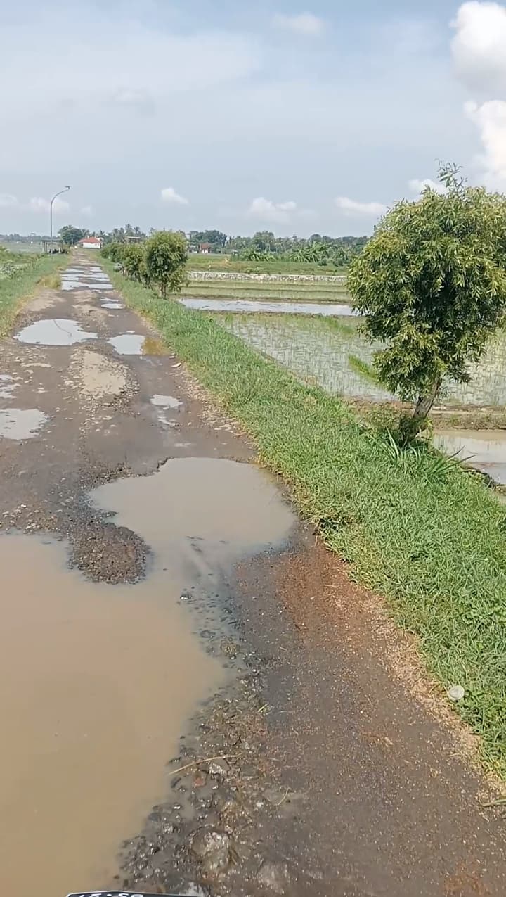 Dinas PUPR Cilacap Diharapkan Bertindak Cepat AtasiJalan Rusak Ciawi tali Cisumur gandrung Mangu.