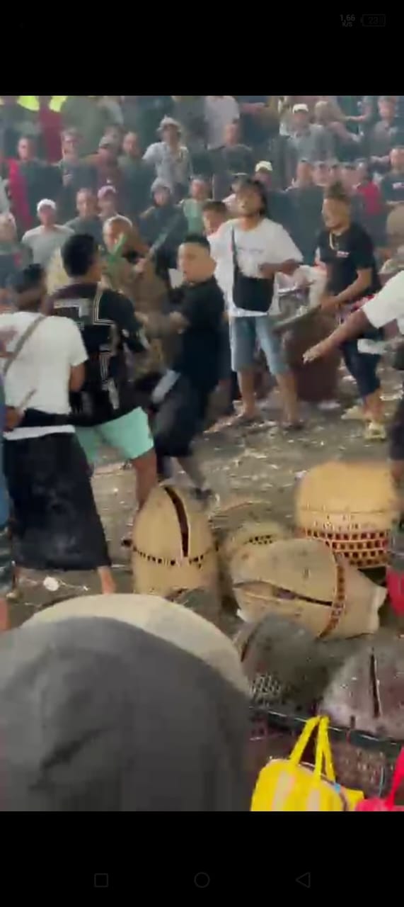 Sabung Ayam Desa Songan Memakan Korban Masyarakat  Hingga Tewas