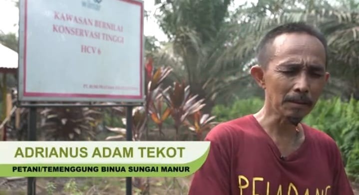 Hutan Adat Habis, Masyarakat Adat Terdesak: “Kami Tak Punya Ruang Hidup Lagi