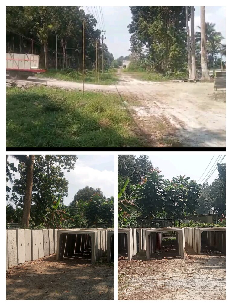 Skandal Hutan Dijarah: Kontraktor Proyek BBWS Citanduy ‘Perkosa’ Lahan Negara Demi Untung Pribadi!