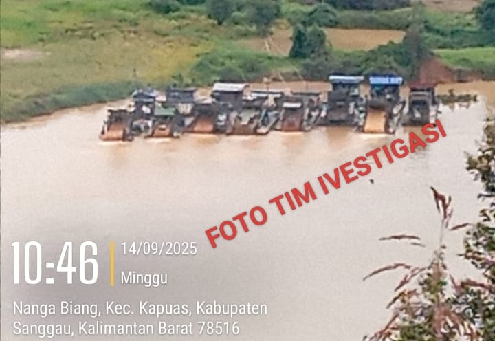 Tambang Emas Ilegal di Nanga Biang Terus Beroperasi Usai Razia, Publik Pertanyakan Keseriusan Aparat