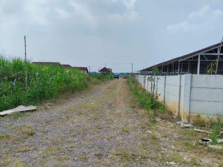 Tragis! Tanah Petani Mojowuku Disulap Jadi Sporadik Atas Nama Makelar, Hati-Hati Pengembang Nakal”