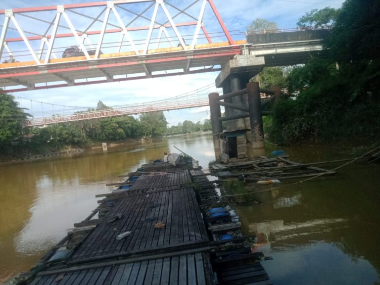Jeritan Petani Sungai Kapuas: Limbah Tambang Hancurkan Keramba, Pemerintah Diam