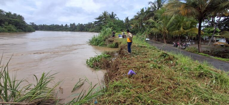 MENANTI JEBOL! Tanggul Kritis Rawaapu Terkikis Habis, Ribuan Nyawa dan Ratusan Hektar Lahan Pangan Terancam