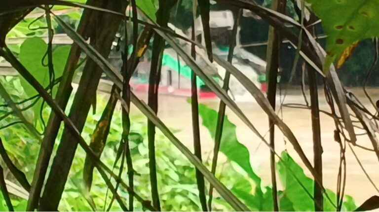 Dugaan Keterlibatan Oknum Polisi dalam Aktivitas PETI di Sekadau Disorot