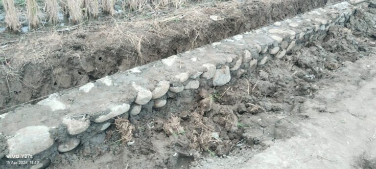 Kegiatan Pembangunanan Irigasi dari Dinas Pertanian di Desa Kubangwungu tidak Tranparan dan  di Nilai Tidak Sesuai Ketentuan