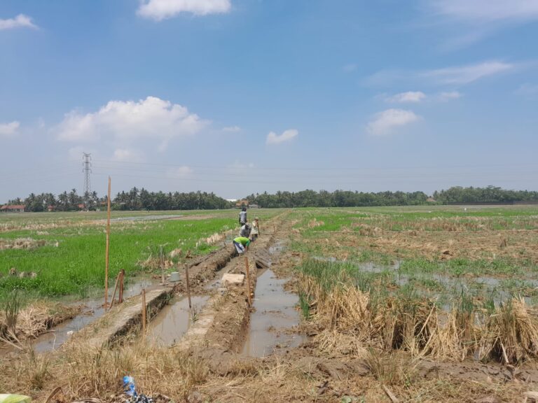 Pemeliharaan Jaringan Irigasi Tersier Desa Nusajati Diduga Abaikan Transparansi dan Kualitas Pekerjaan
