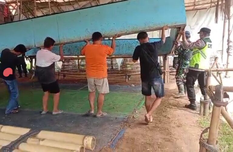 Resahkan Warga, Lokasi Diduga Sabung Ayam di Ayah Dibongkar Polres Kebumen